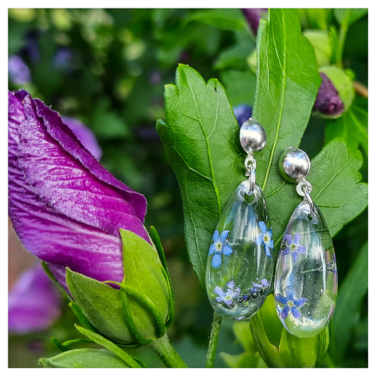 Kolczyki z zatopionymi niezapominajkami Figa handmade accessories