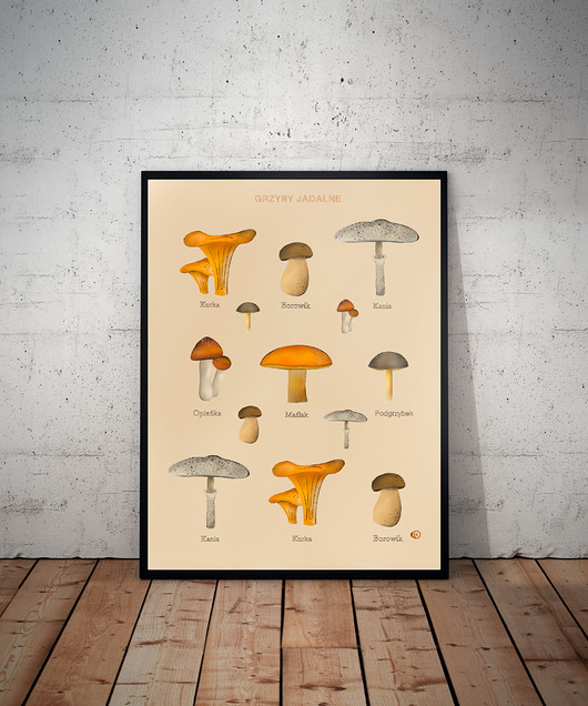 plakaty Plakat Grzyby Jadalne