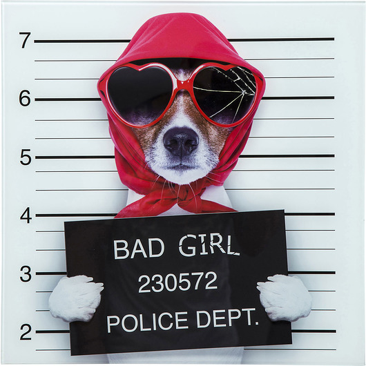 Obraz na szkle 40x40cm Bad Girl Dog Jack Russell Home Design