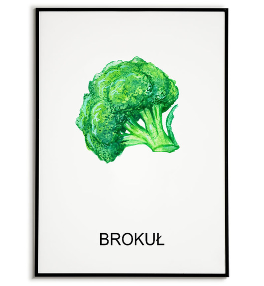 plakaty Plakat  GRAFIKA BROKUŁ warzywa obraz ZIOŁA