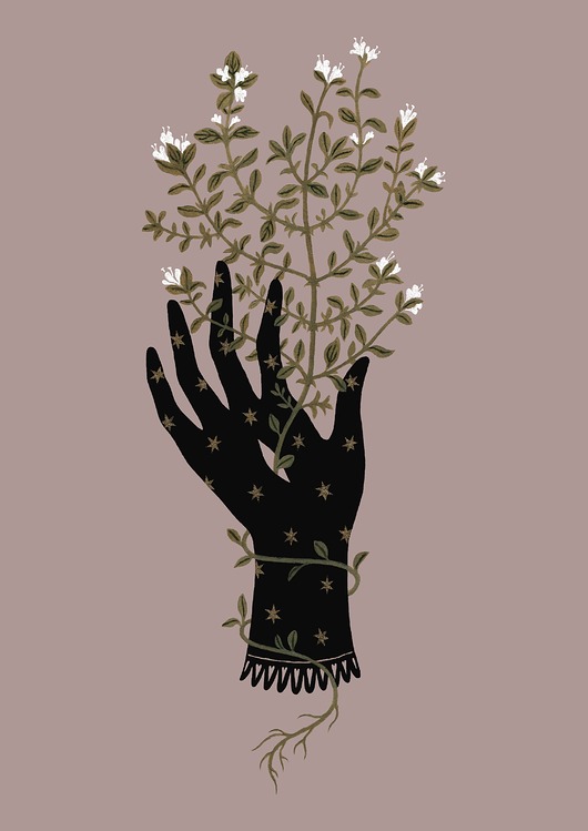 grafiki i ilustracje Night blossom
