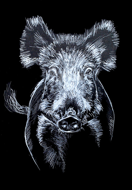 plakaty Dzik, plakat A3