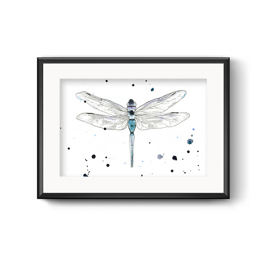 grafiki i ilustracje Ważka subtelna, 30x21 cm, A4