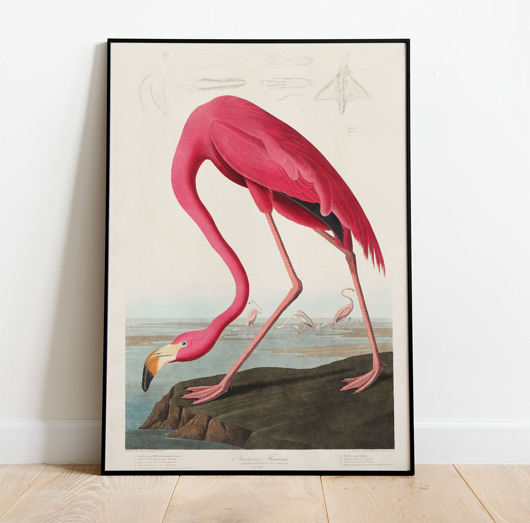 plakaty Plakat FLAMINGO