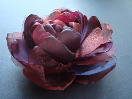 CARELLA SundayRose