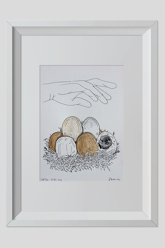 grafiki i ilustracje Rysunek Kurczątko 30x20cm + biała rama A4