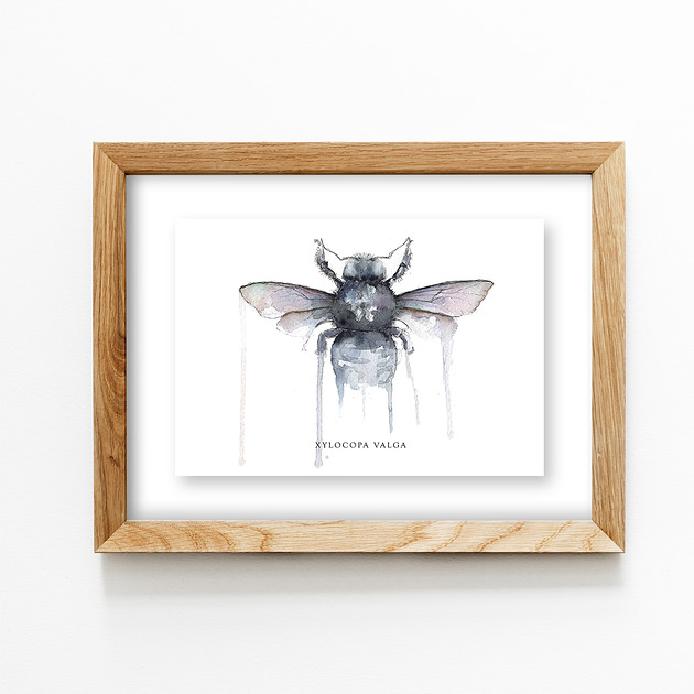 grafiki i ilustracje Czarna Pszczoła 30x40 cm