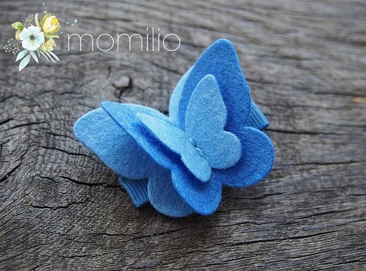 Momilio spinka motyl Momilio