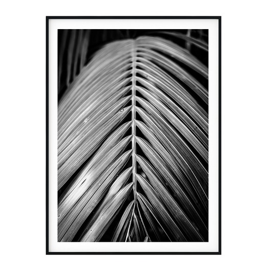 Plakat skandynawski botanicznyi Liść Palmy myscandi