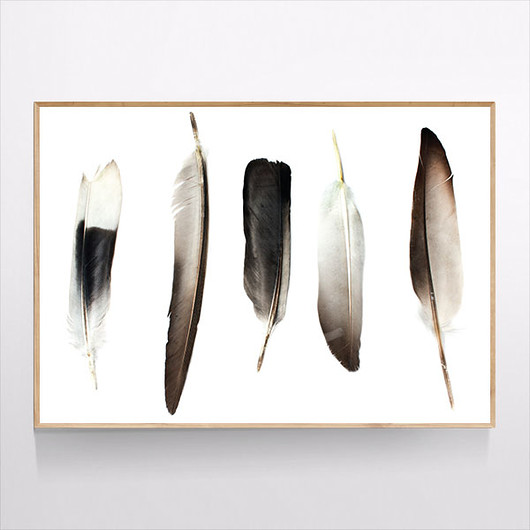 Plakat PIÓRA 21x30 CM MUKKO