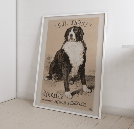 plakaty Plakat Vintage Retro Dog