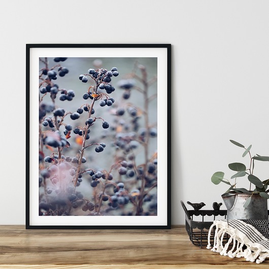 Plakat skandynawski Frozen Berries myscandi