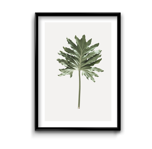Plakat Naturalny minimalizm #5 Bury Lis