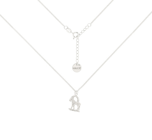 chokery Srebrny choker pancerka ze znakiem zodiaku Koziorożec