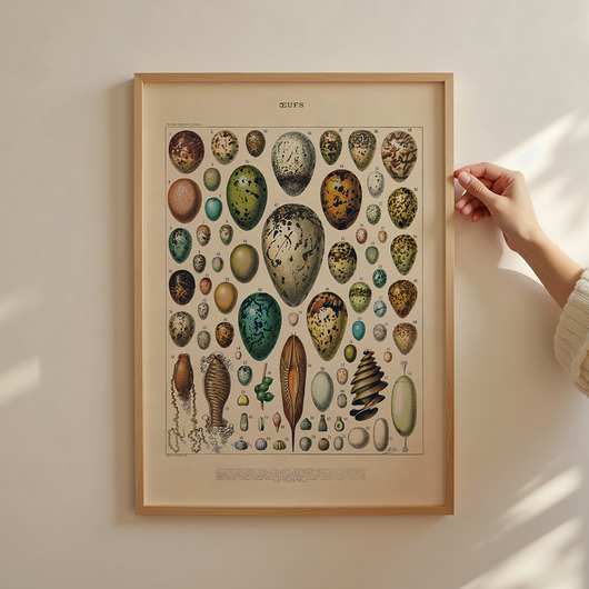 grafiki i ilustracje grafika Oeufs (reprint)