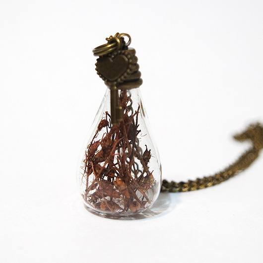 wisiory Suszone kwiaty - naszyjnik