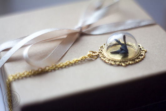 Gold  Misiepodoba
