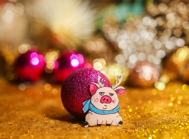 broszki Broszka ze świnką Gienią