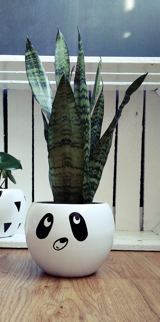 Doniczka kula średnia - panda MUKI design