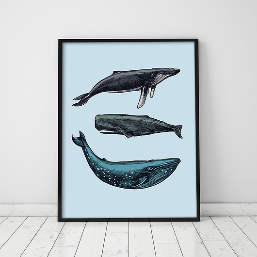 Plakat WIELORYBY DEKOSKA