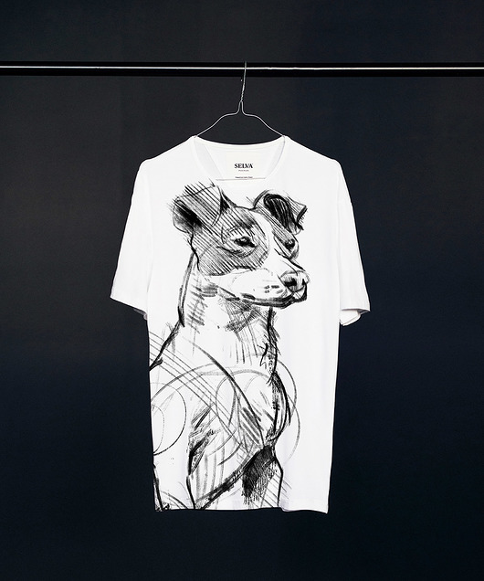 t-shirty męskie Jack Russell Terrier Men's T-shirt