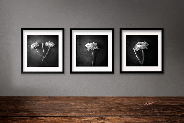 Buttercup Flowers - zestaw trzech fotografii