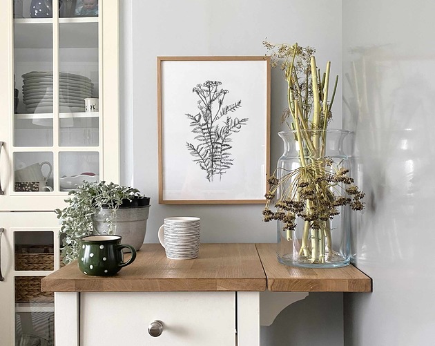 grafiki i ilustracje Wrotycz 30x40  - grafika botaniczna