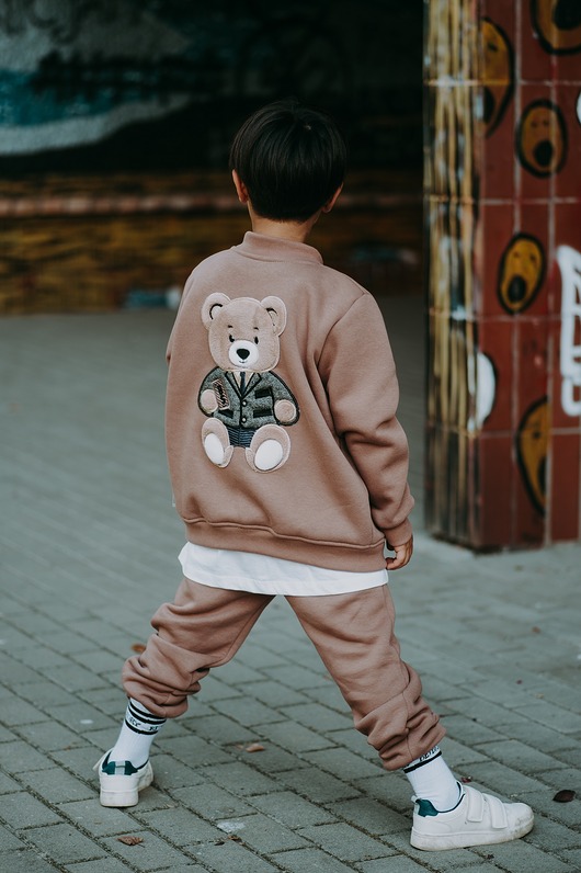 bluzy dla chłopców Bluza rozpinana Harry Teddy