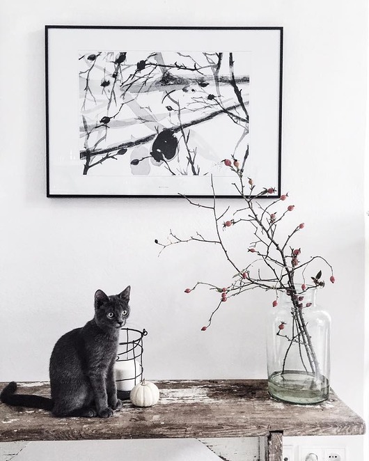Dzika róża print, 50x70 cm Margo Hupert