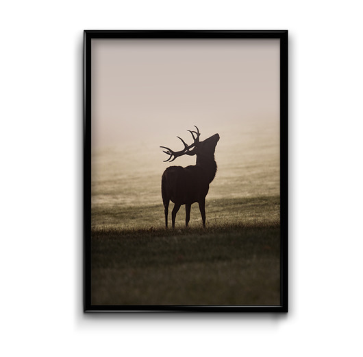 Plakat Deer  Bury Lis