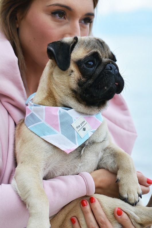 psia bandanka PINK pastel colada the paw