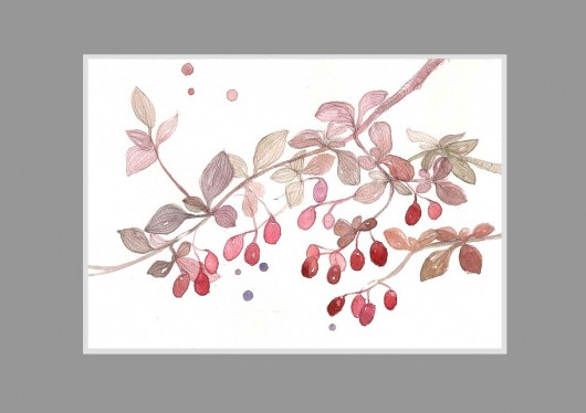 kolorowa natura Madame&Rose