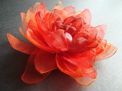 RED SundayRose
