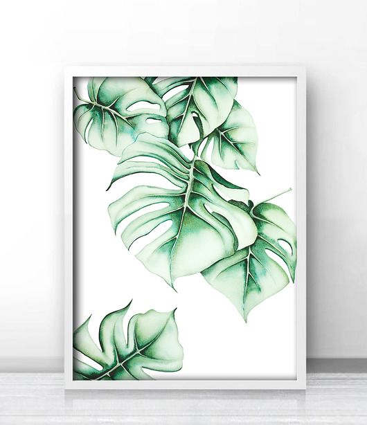 Monstera - plakat autorski Karolina Kijak