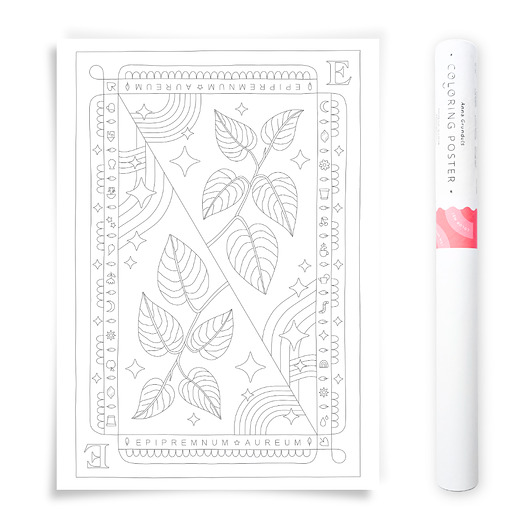 plakaty Plakat do Kolorowania Roślina Doniczkowa Epipremnum 50x70cm