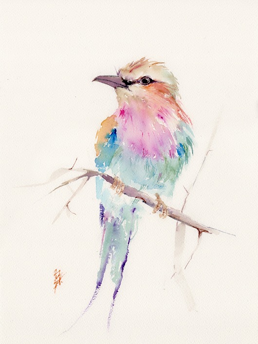 obrazy Oryginalna akwarela. Kraska