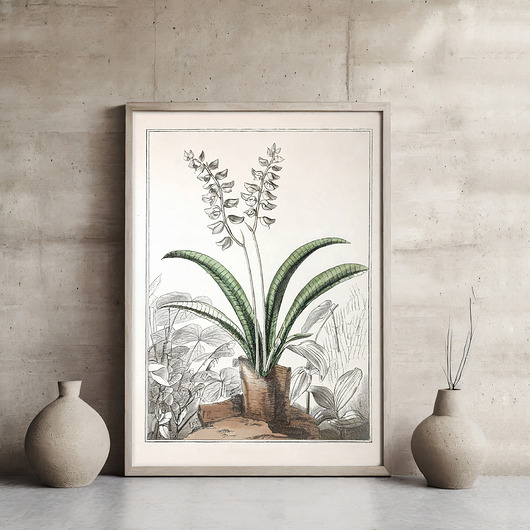 plakaty Plakat botaniczny