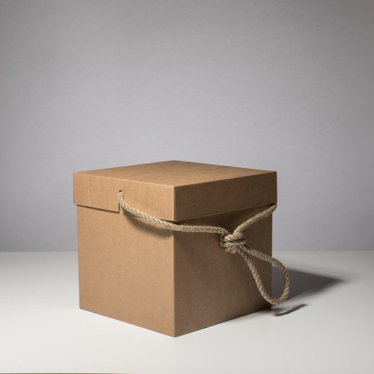skrzynki, kufry i pudła Bag Box - Torba tekturowa rozmiar: 22x22x22 cm