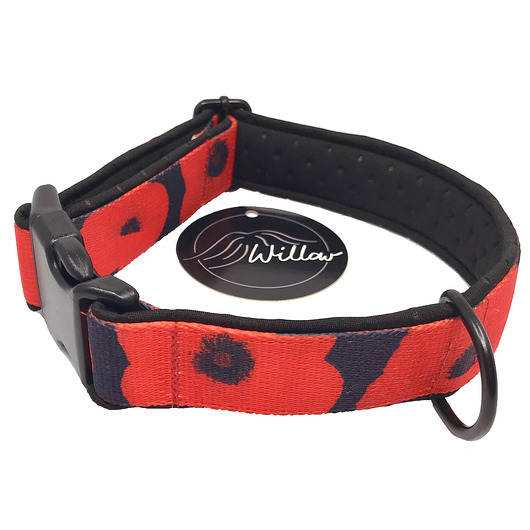 smycze i obroże dla psów i kotów Komplet Obroża ze smyczą + Haftowane imę psa