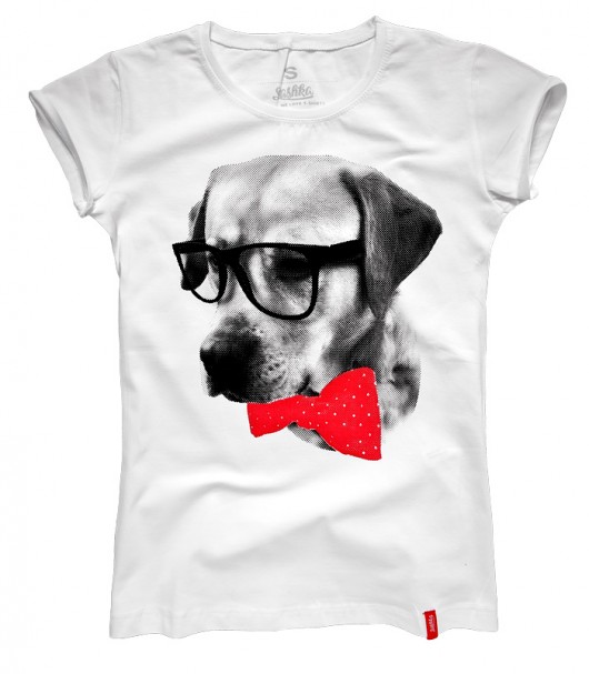 LABRADOR BONO rozm. S SASHKA