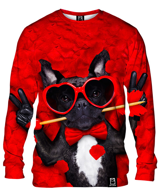 bluzy męskie Bluza Bez Kaptura Męska DR.CROW Dog Lover