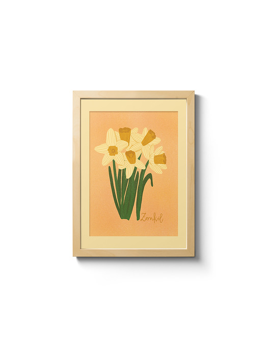 grafiki i ilustracje Żonkil. Ilustracja 13x18cm