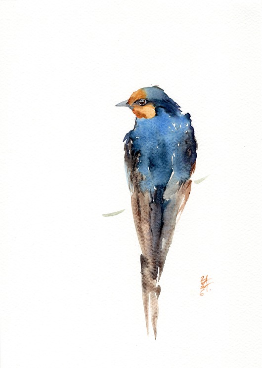 obrazy Oryginalna akwarela. Jaskółka