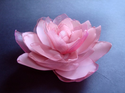 piwonia w różach_zamówienie  SundayRose