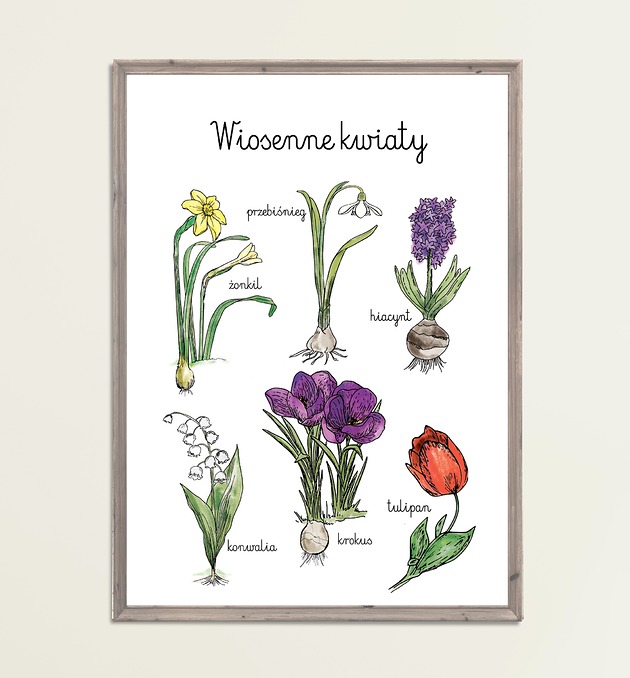 obrazy i plakaty do pokoju dziecięcego Plakat Wiosenne Kwiaty Montessori