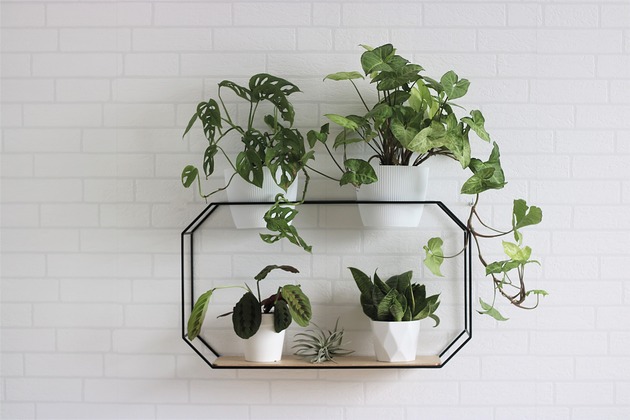 kwietniki Kwietnik RUBY 2ct