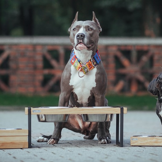 dla zwierząt różne LOFT - dębowy PSI STOLIK - L - miska dla psa