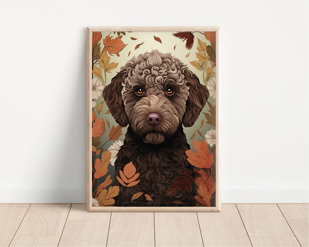 plakaty Plakat lagotto romagnolo