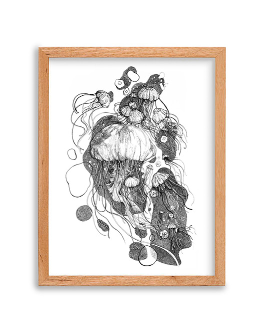 Meduza rena illustration