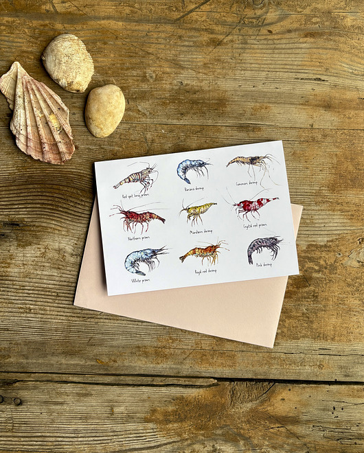kartki okolicznościowe - wydruki Krewetki- Prawns- Kartka- Grafika- Ilustracja